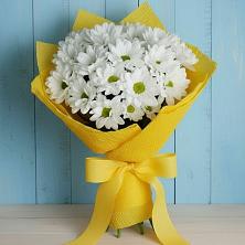 Букет цветов из:  Хризантемы в Рудничный Кировской области