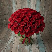 Букет 55 Красных роз Фридом #REPLACE_PRED# Рудничный Кировской области