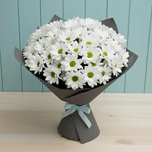 Букет цветов из:  Хризантемы в Рудничный Кировской области