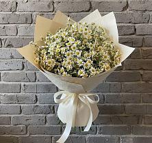 Букет цветов из:  Ромашки #REPLACE_PRED# Рудничный Кировской области