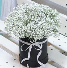 Цветочная композиция из Гипсофила в шляпной коробке #REPLACE_PRED# Рудничный Кировской области