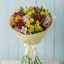 Букет цветов из:  Альстромерии в Рудничный Кировской области