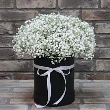 Цветочная композиция из Гипсофила в шляпной коробке в Рудничный Кировской области