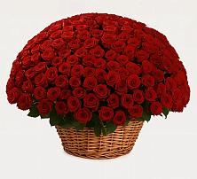 Премиум букет из: Розы в Рудничный Кировской области